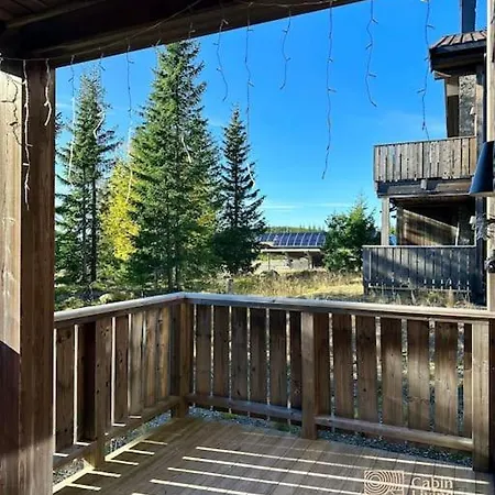 Cozy In Out, Bbq & Wifi Apartment Sjusjoen